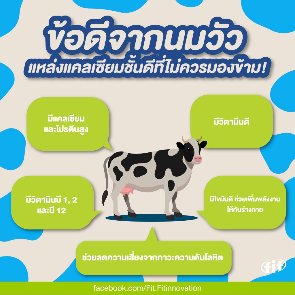 Read more about the article ข้อดีจากนมวัว แหล่งแคลเซียมชั้นดีที่ไม่ควรมองข้าม!