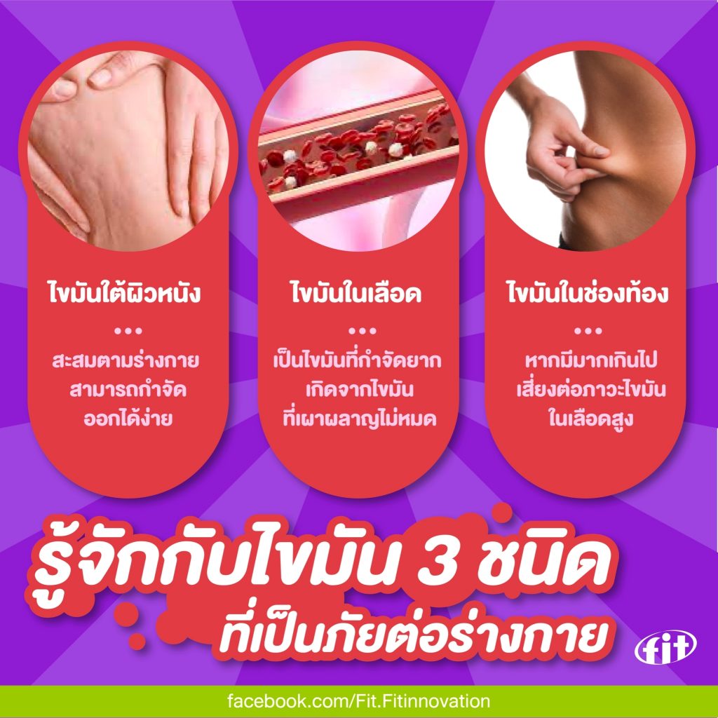 Read more about the article รู้จักกับไขมัน 3 ชนิดที่เป็นภัยต่อร่างกาย