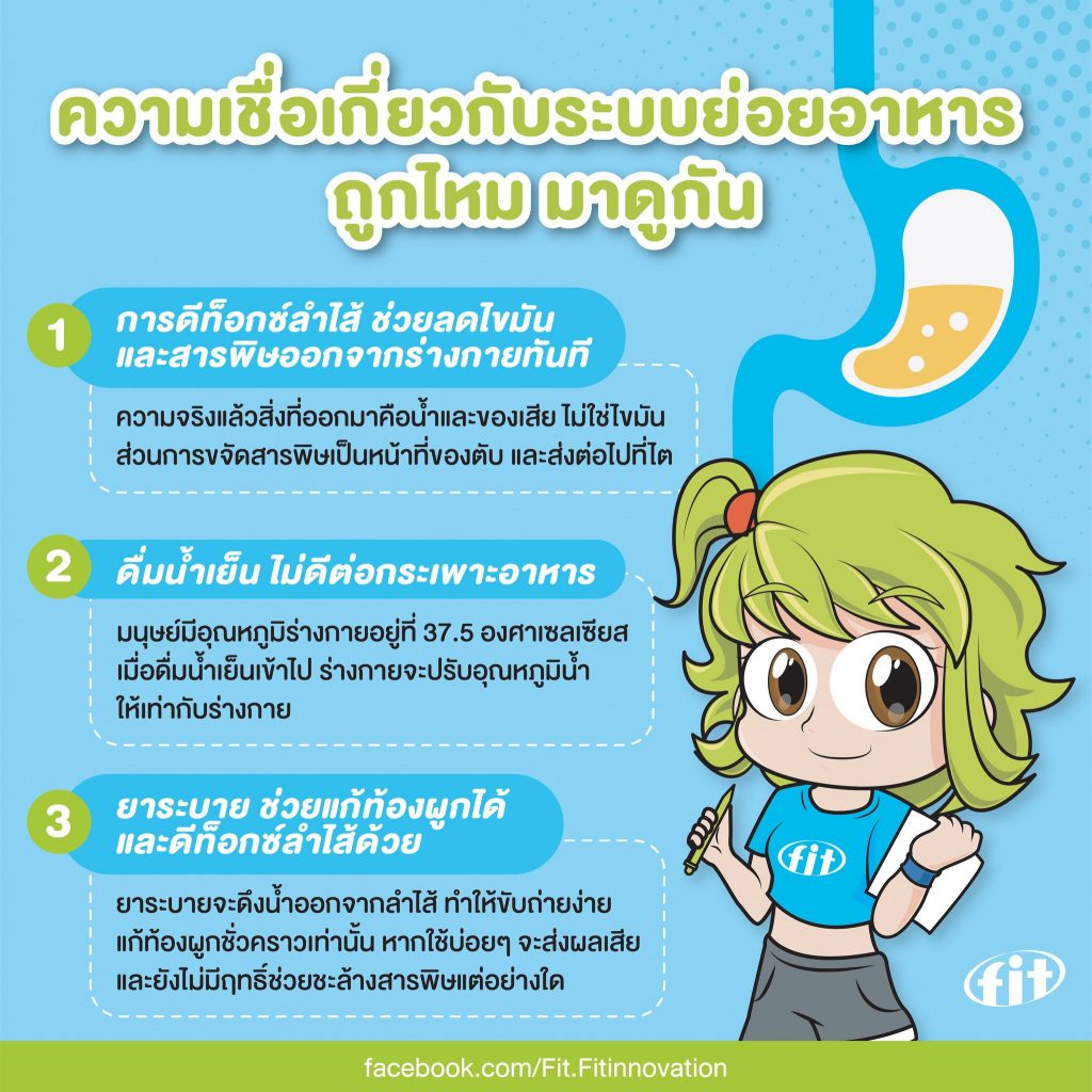 Read more about the article ความเชื่อเกี่ยวกับระบบย่อยอาหาร ถูกไหม มาดูกัน