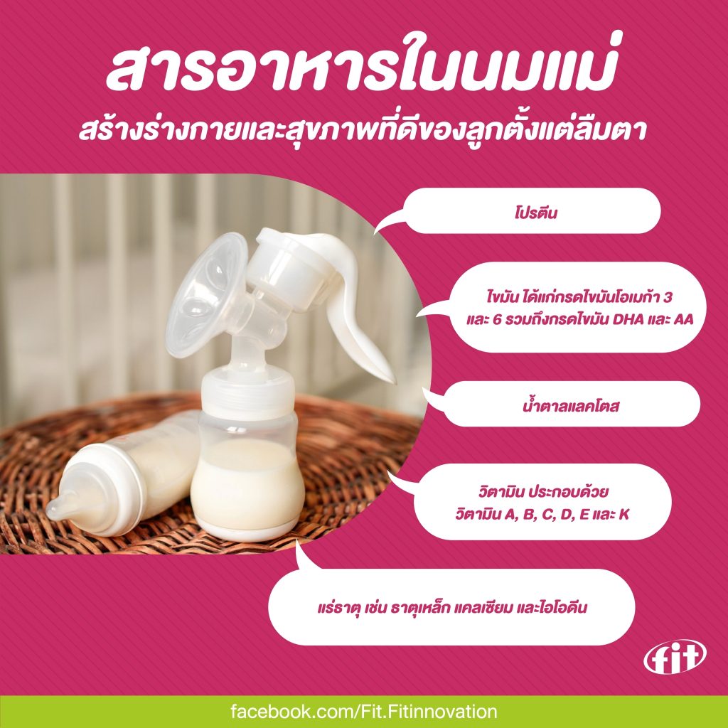 Read more about the article สารอาหารในนมแม่ สร้างร่างกายและสุขภาพที่ดีของลูกตั้งแต่ลืมตา