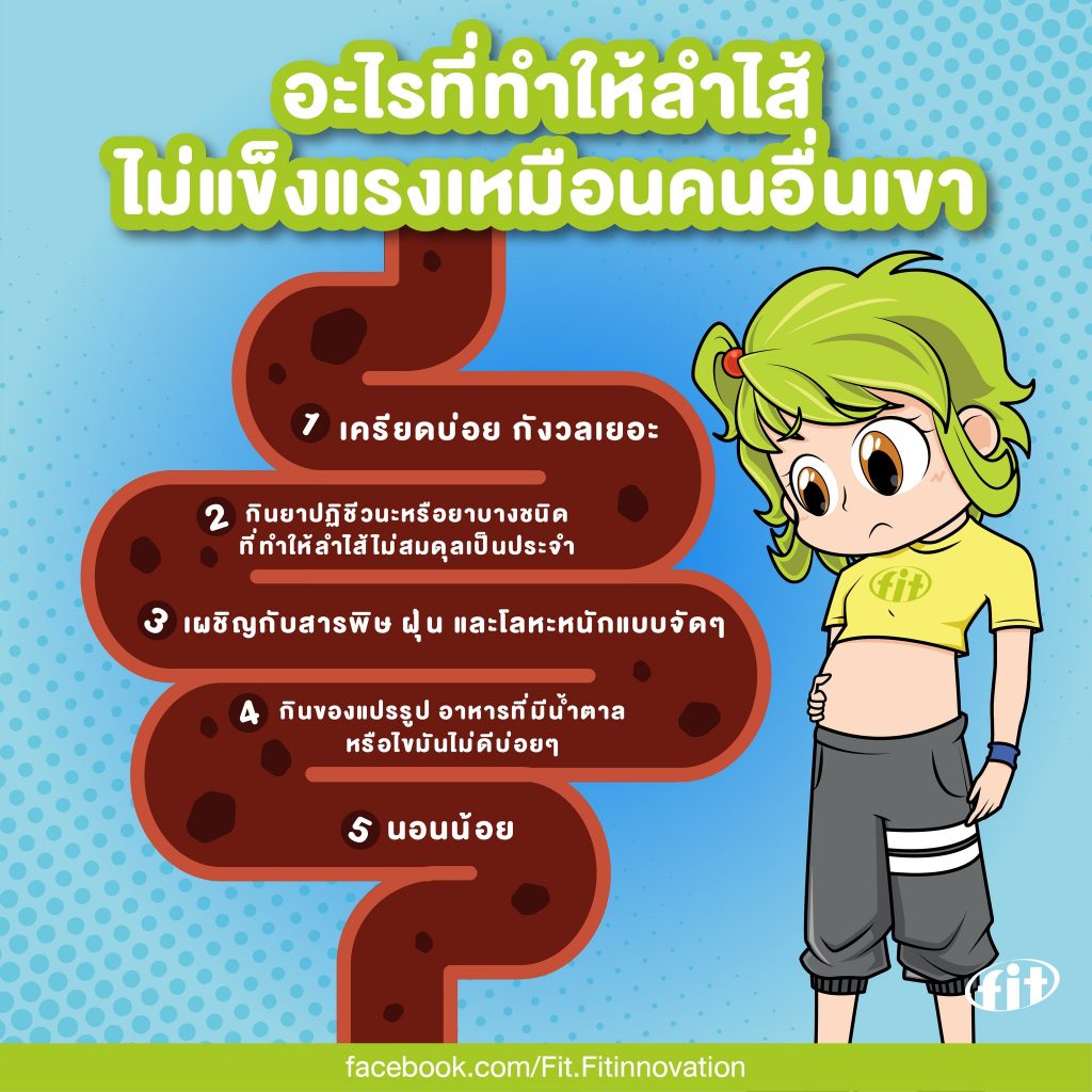 Read more about the article อะไรที่ทำให้ลำไส้ไม่แข็งแรงเหมือนคนอื่นเขา